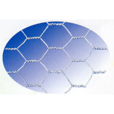 Galv.Hex.Iron Wire Netting